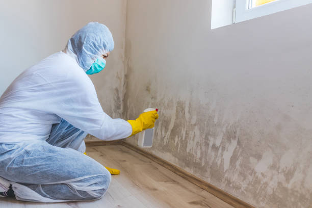 Licensed Crawl Space Mold Remediation service in Bergenfield, NJ - Car Mold Remediation